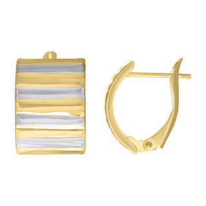 10kt 10k Two-tone Gold Womens Fashion Latch Back Earrings